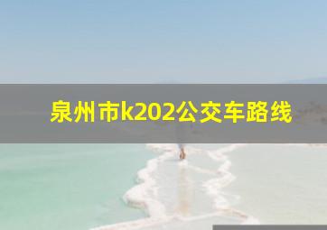 泉州市k202公交车路线