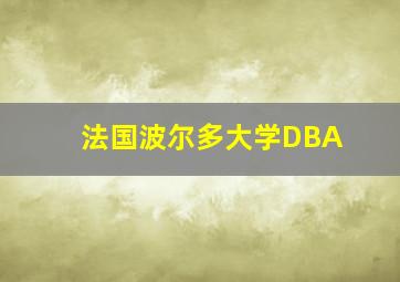 法国波尔多大学DBA