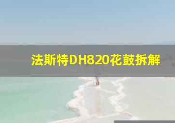 法斯特DH820花鼓拆解