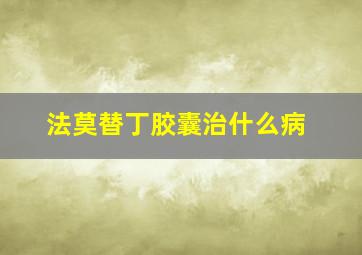 法莫替丁胶囊治什么病