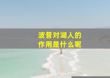 波普对湖人的作用是什么呢