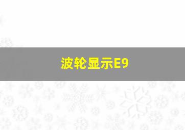 波轮显示E9