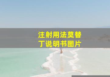 注射用法莫替丁说明书图片