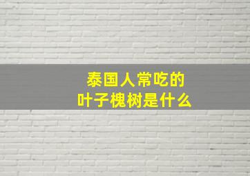 泰国人常吃的叶子槐树是什么