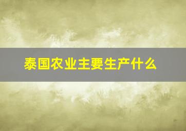 泰国农业主要生产什么