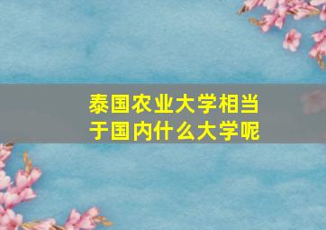 泰国农业大学相当于国内什么大学呢