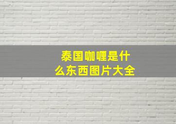 泰国咖喱是什么东西图片大全