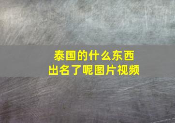 泰国的什么东西出名了呢图片视频