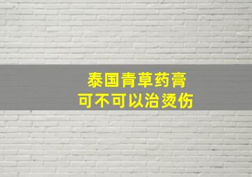 泰国青草药膏可不可以治烫伤