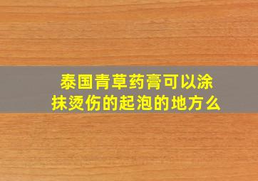 泰国青草药膏可以涂抹烫伤的起泡的地方么