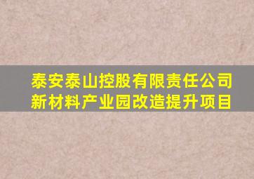 泰安泰山控股有限责任公司新材料产业园改造提升项目