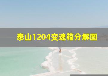 泰山1204变速箱分解图