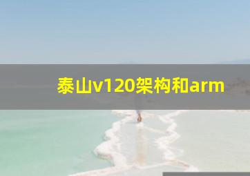 泰山v120架构和arm