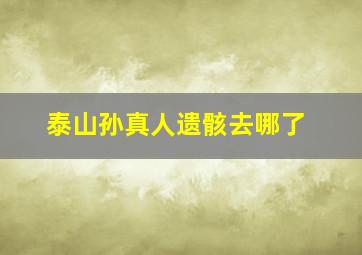 泰山孙真人遗骸去哪了