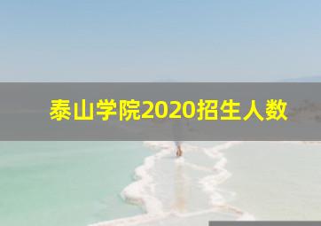 泰山学院2020招生人数