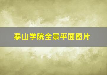 泰山学院全景平面图片