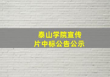 泰山学院宣传片中标公告公示