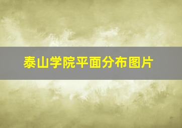 泰山学院平面分布图片