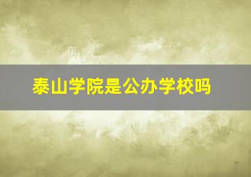 泰山学院是公办学校吗