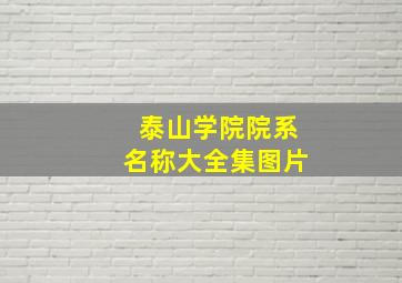 泰山学院院系名称大全集图片