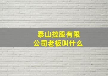 泰山控股有限公司老板叫什么