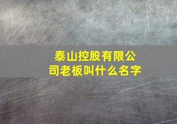 泰山控股有限公司老板叫什么名字