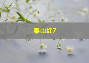 泰山红7