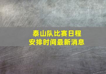 泰山队比赛日程安排时间最新消息