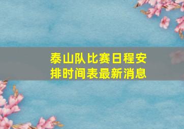 泰山队比赛日程安排时间表最新消息