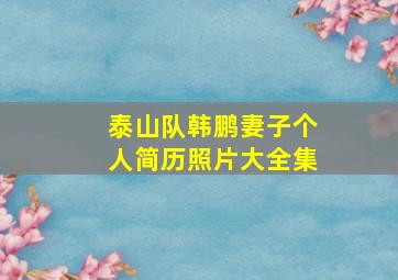 泰山队韩鹏妻子个人简历照片大全集