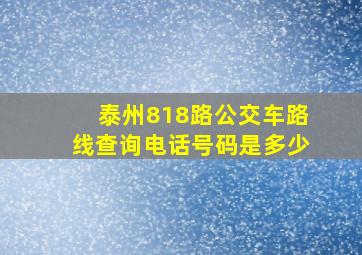 泰州818路公交车路线查询电话号码是多少