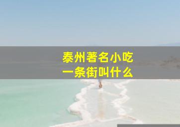 泰州著名小吃一条街叫什么