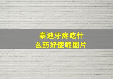 泰迪牙疼吃什么药好使呢图片