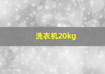 洗衣机20kg