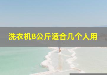 洗衣机8公斤适合几个人用