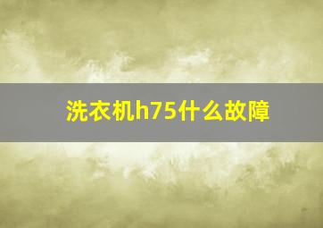 洗衣机h75什么故障