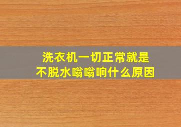 洗衣机一切正常就是不脱水嗡嗡响什么原因