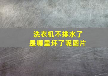 洗衣机不排水了是哪里坏了呢图片