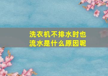 洗衣机不排水时也流水是什么原因呢