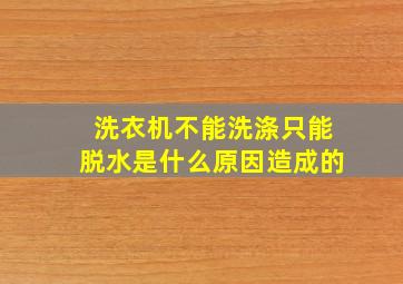 洗衣机不能洗涤只能脱水是什么原因造成的