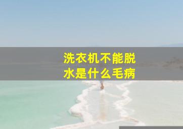 洗衣机不能脱水是什么毛病