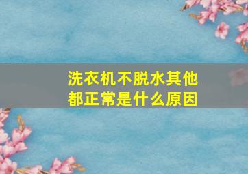 洗衣机不脱水其他都正常是什么原因