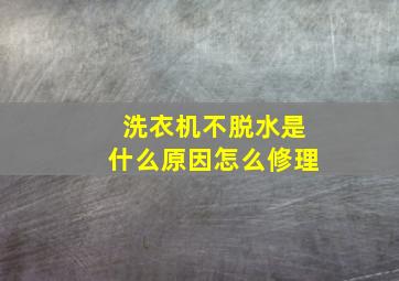 洗衣机不脱水是什么原因怎么修理