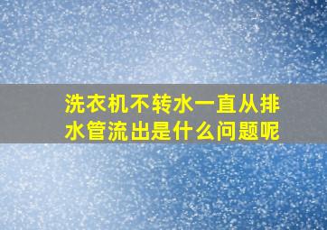 洗衣机不转水一直从排水管流出是什么问题呢