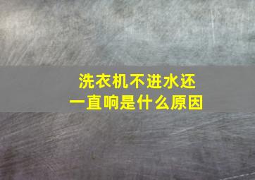 洗衣机不进水还一直响是什么原因