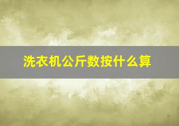 洗衣机公斤数按什么算