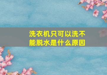 洗衣机只可以洗不能脱水是什么原因