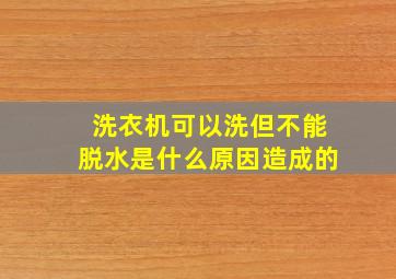 洗衣机可以洗但不能脱水是什么原因造成的