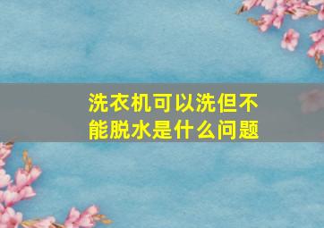 洗衣机可以洗但不能脱水是什么问题