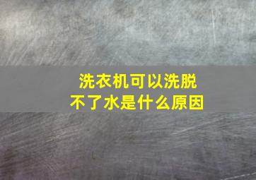 洗衣机可以洗脱不了水是什么原因